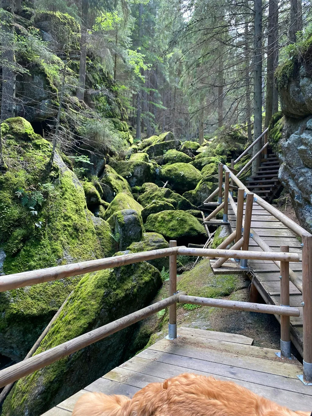 Camping 2 im Waldviertel Hochland