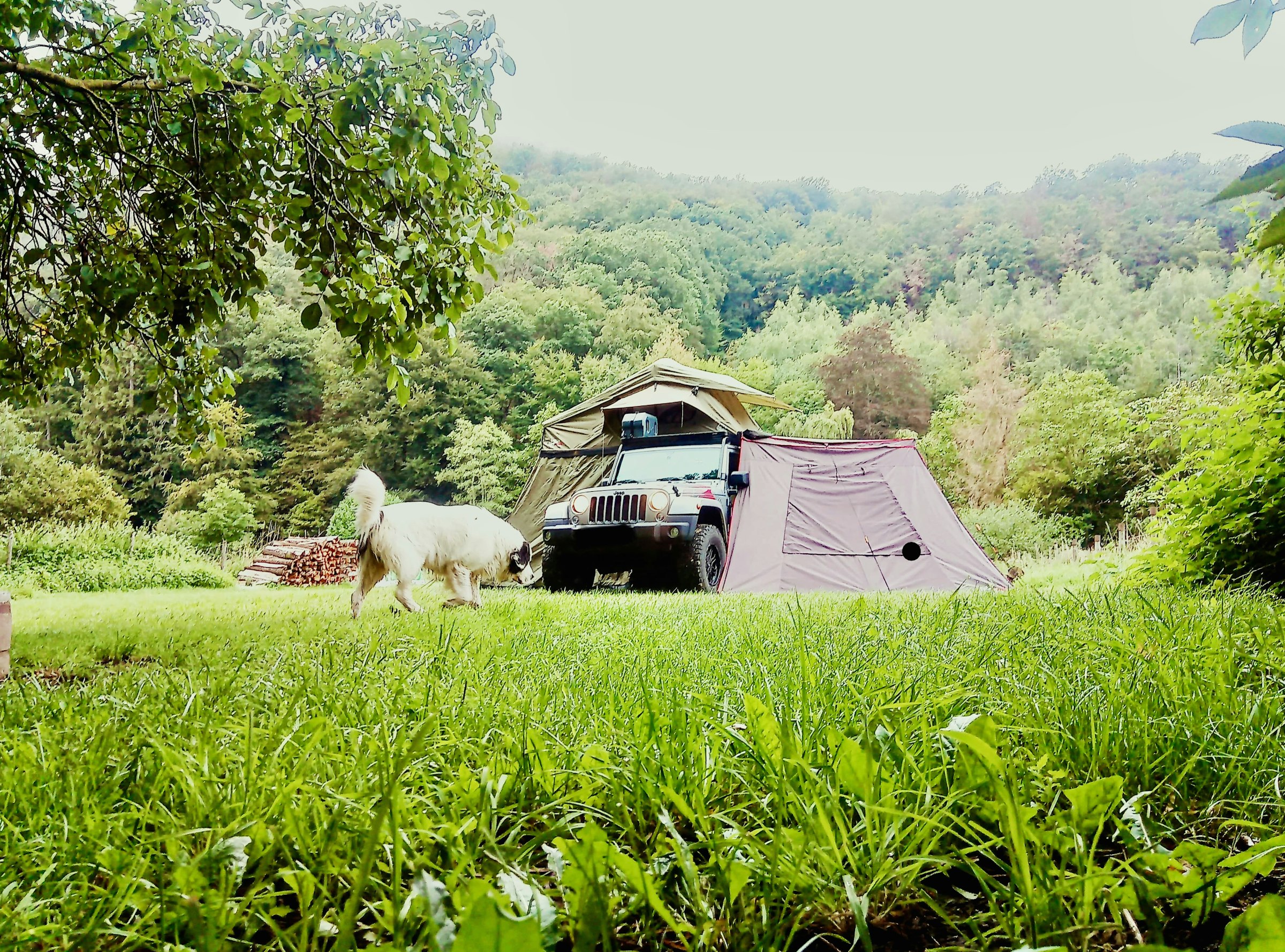 Schönstes Seitental der Mittelmosel