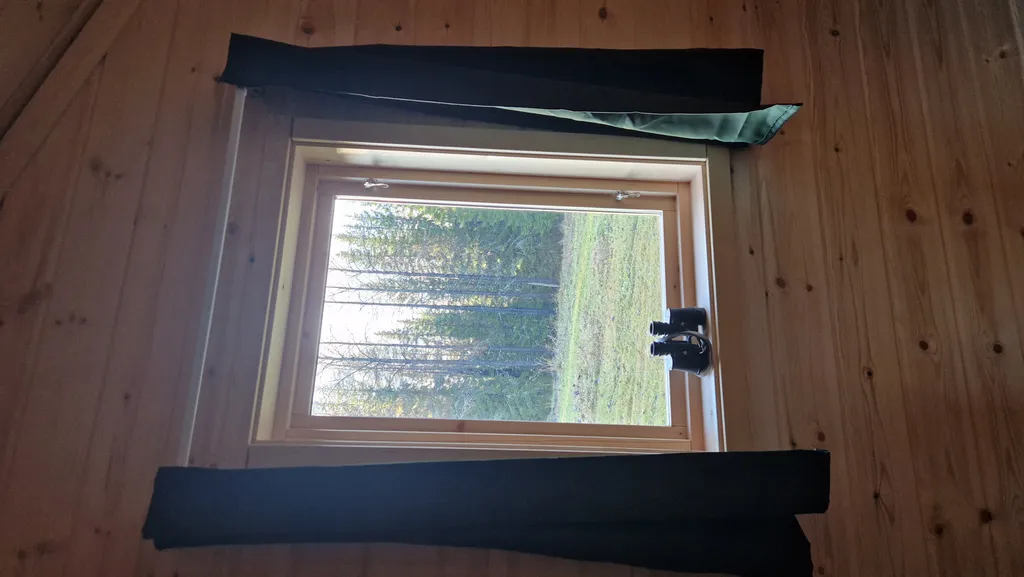 Blick aus dem Schlafzimmerfenster