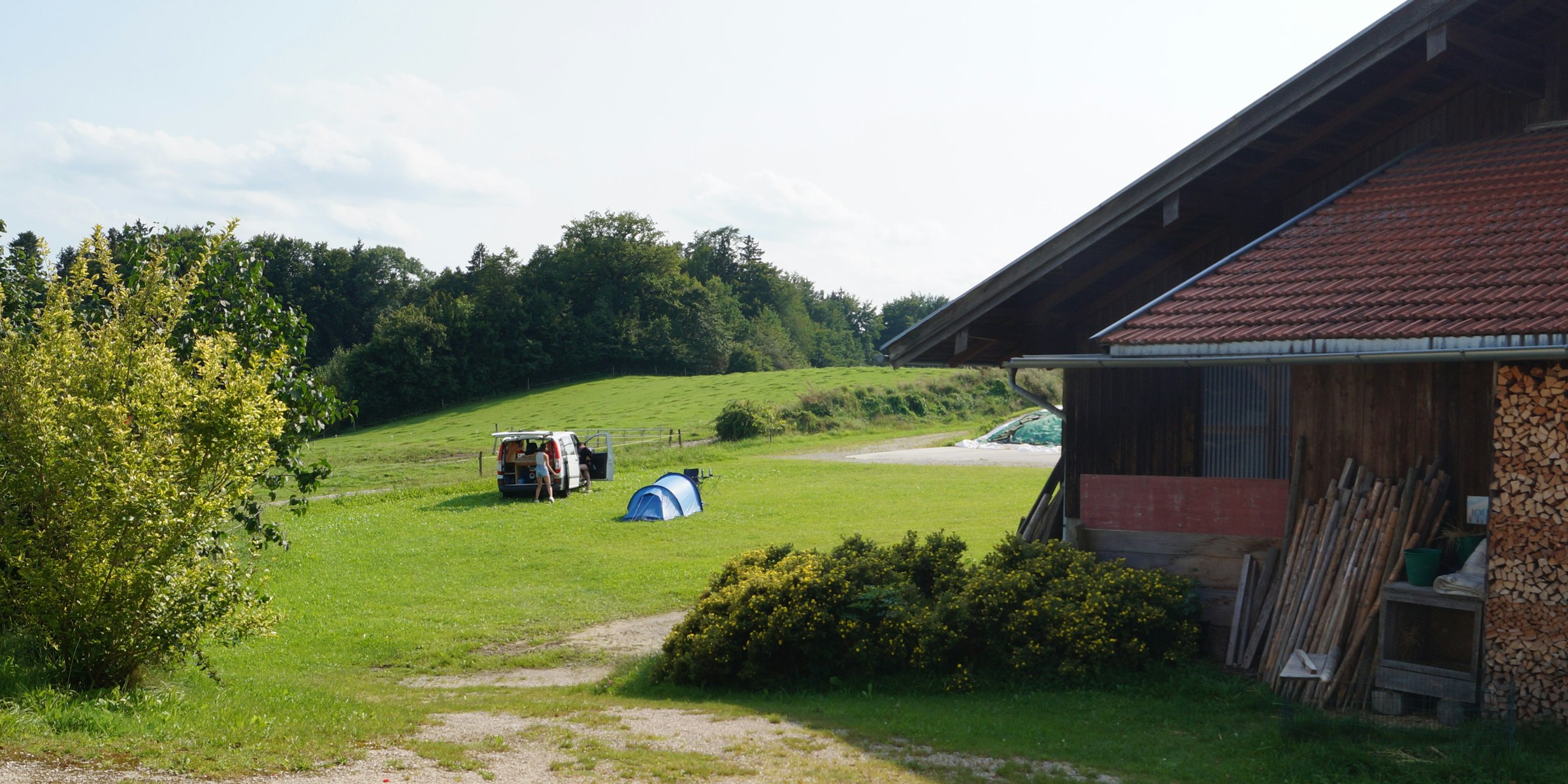 Camping auf dem Biohof neben Kühen