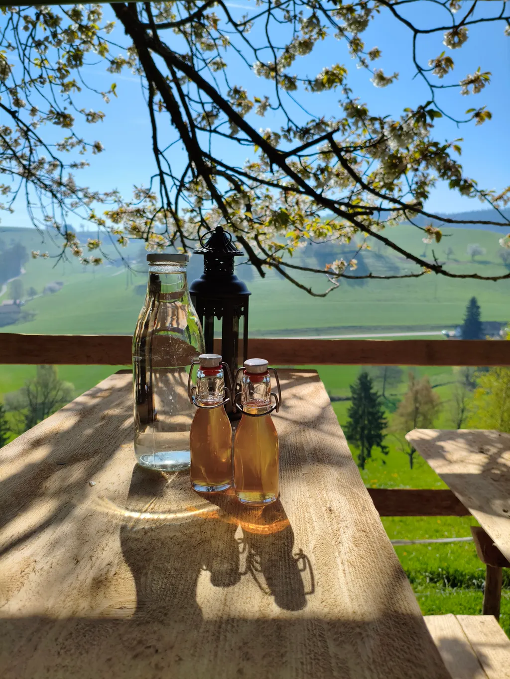 Bild von Selina für den Spot 323