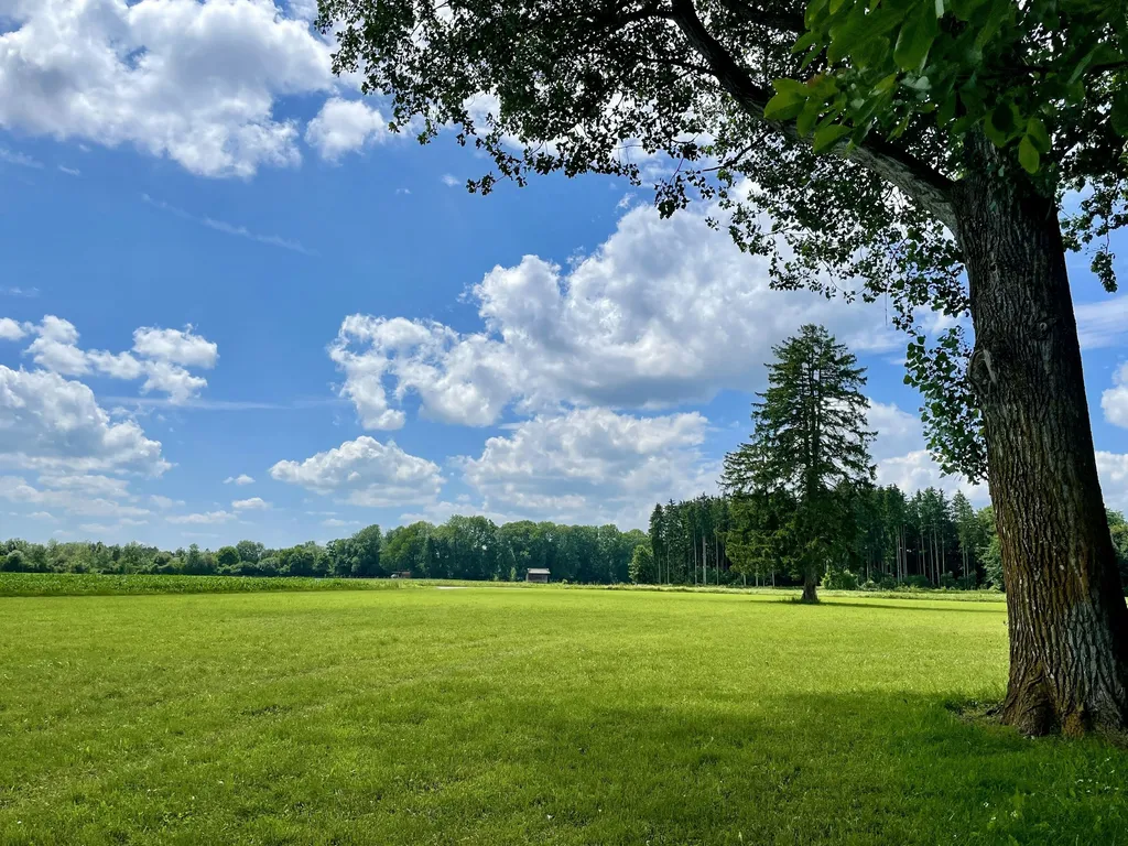 Ruhige naturverbundene Lage