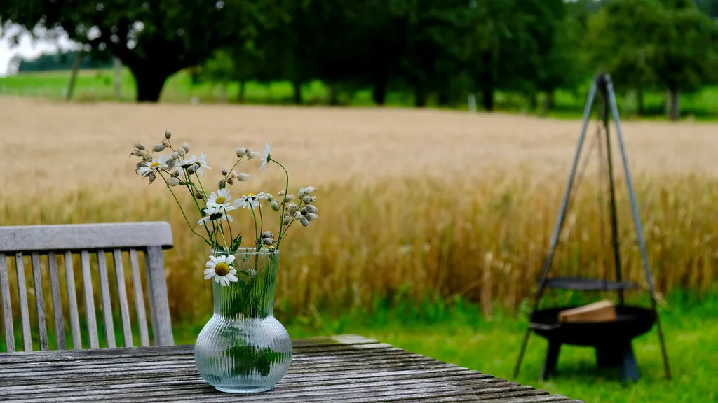 Camping Top of Argovia