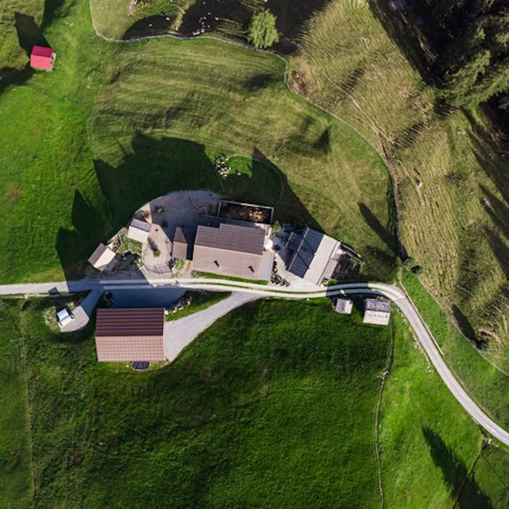 Steinbock Bergpanoramasicht