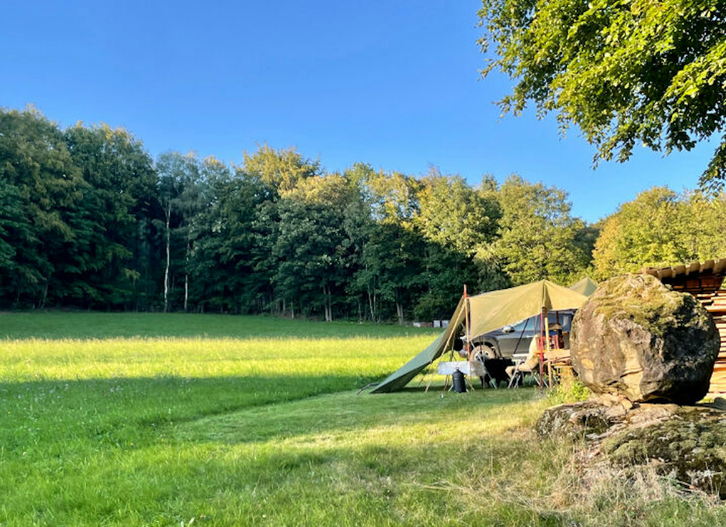 Idyllische Waldwiese