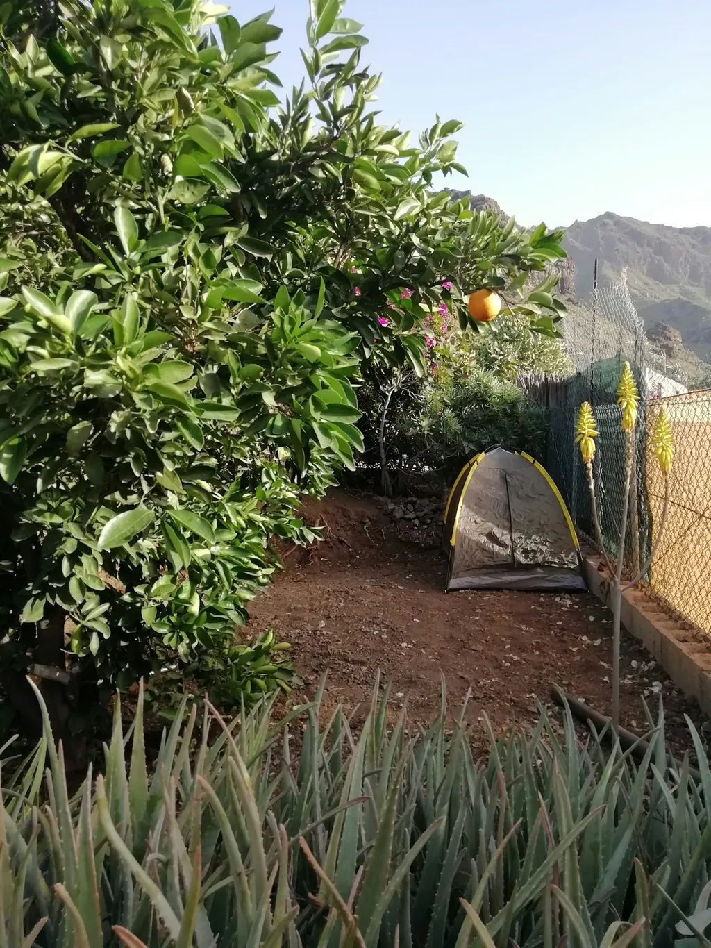 Garten Casa Dhana Gran Canaria