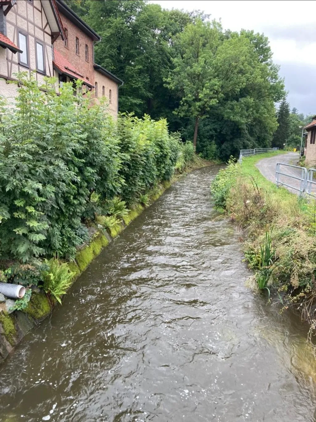 Platz im Grünen Selketal
