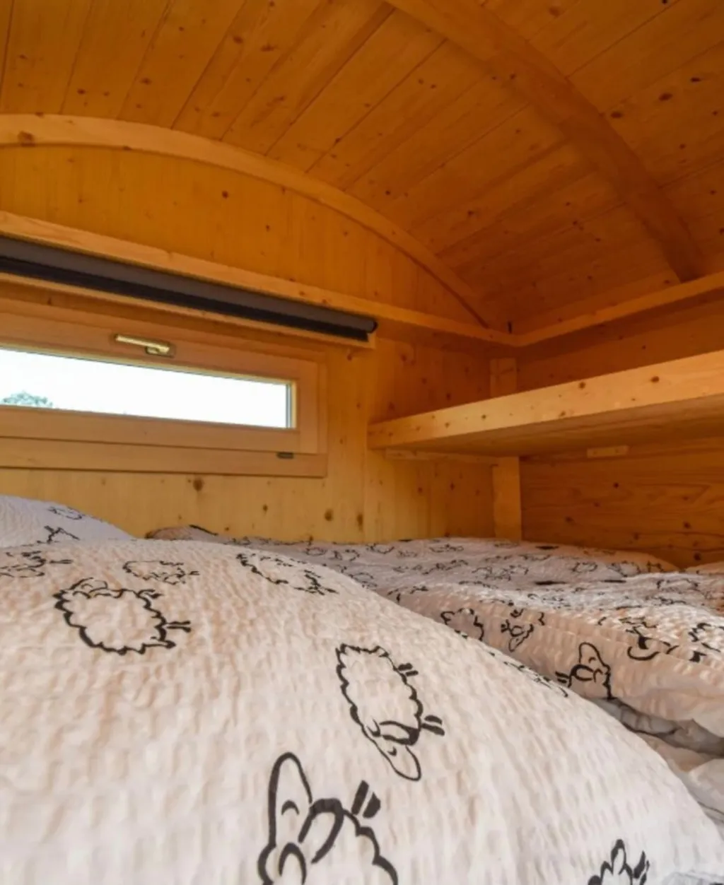 Gepäckablage oder Kleinkindschlafnische