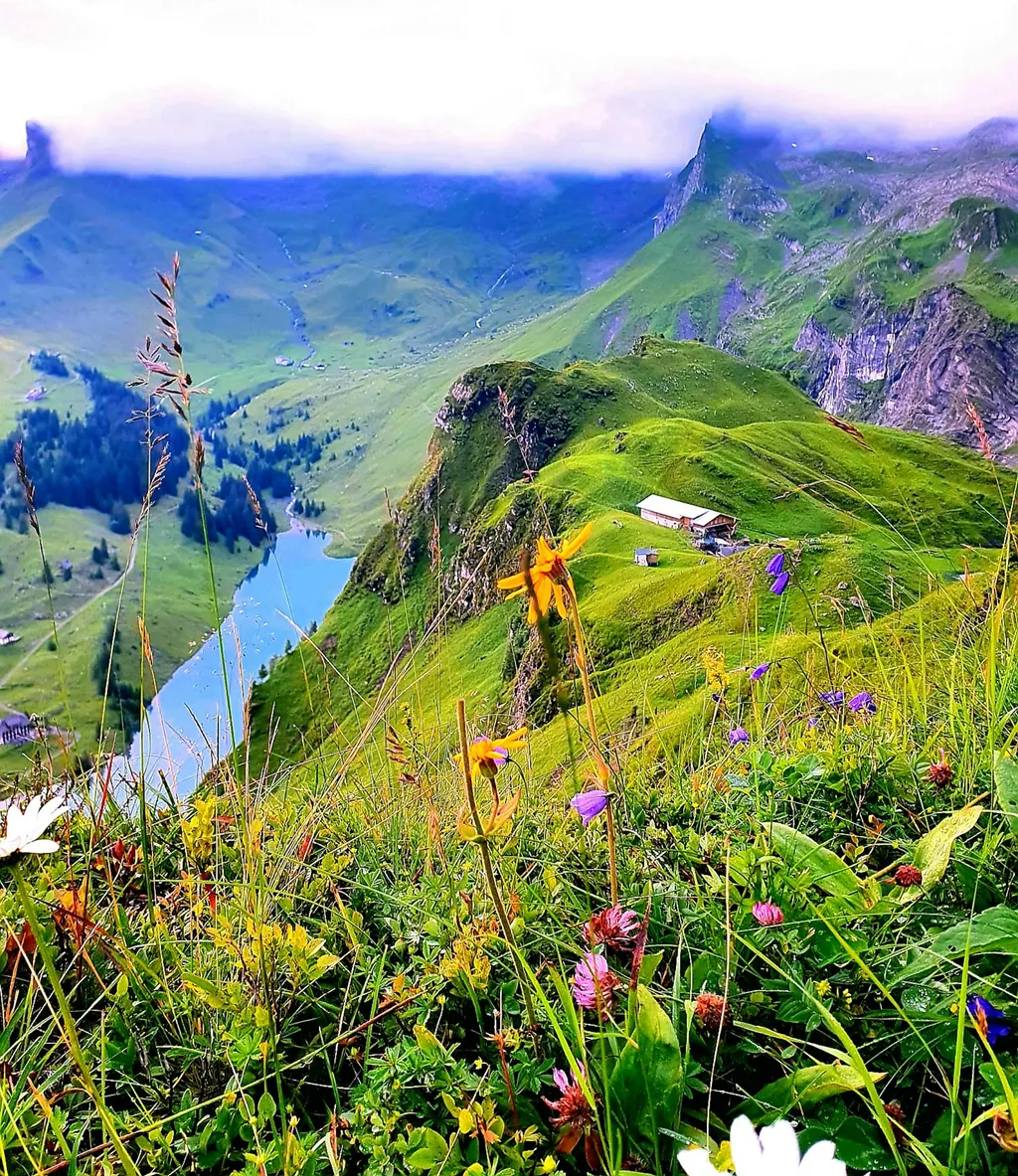 Hochalpiner Zeltplatz Alp Oberfeld