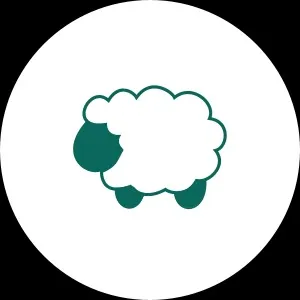 Nico avatar