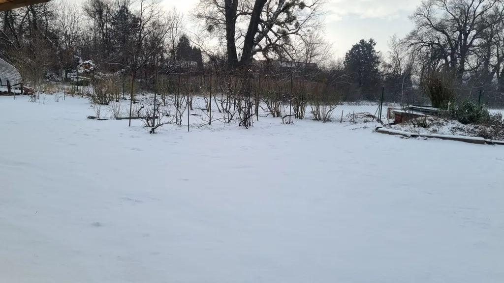 Natur pur in Wien, bei der Lobau