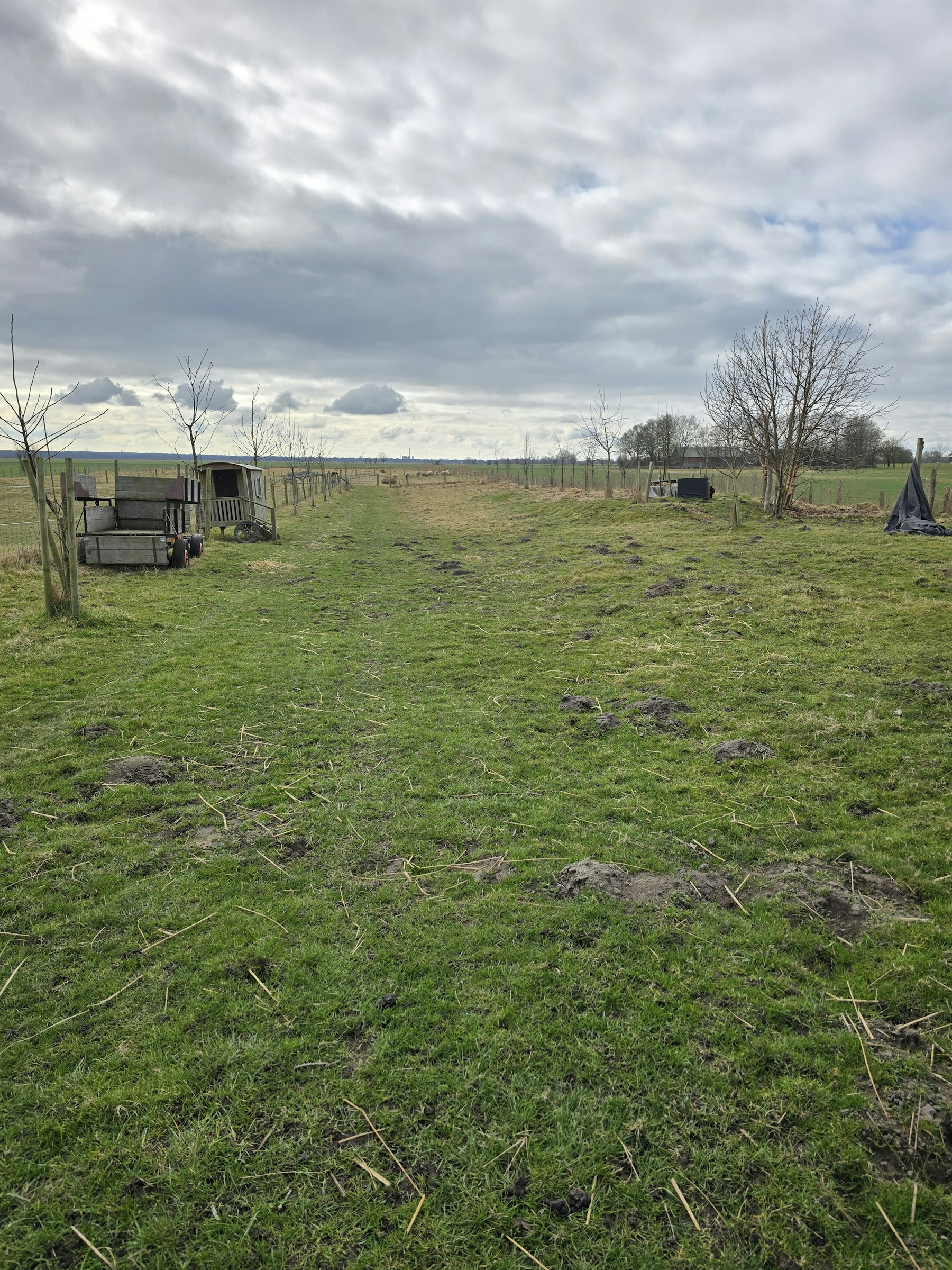 2Ha Weide bei Schafen und Eseln