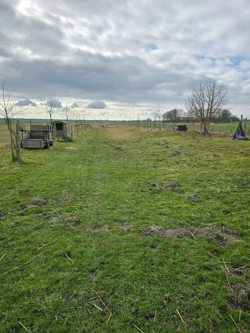 2Ha Weide bei Schafen und Eseln