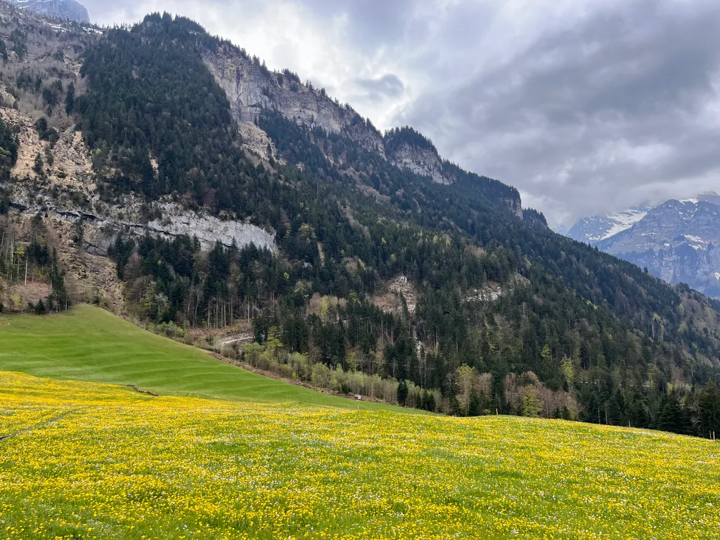 Frühjahr am Altzellerberg.
