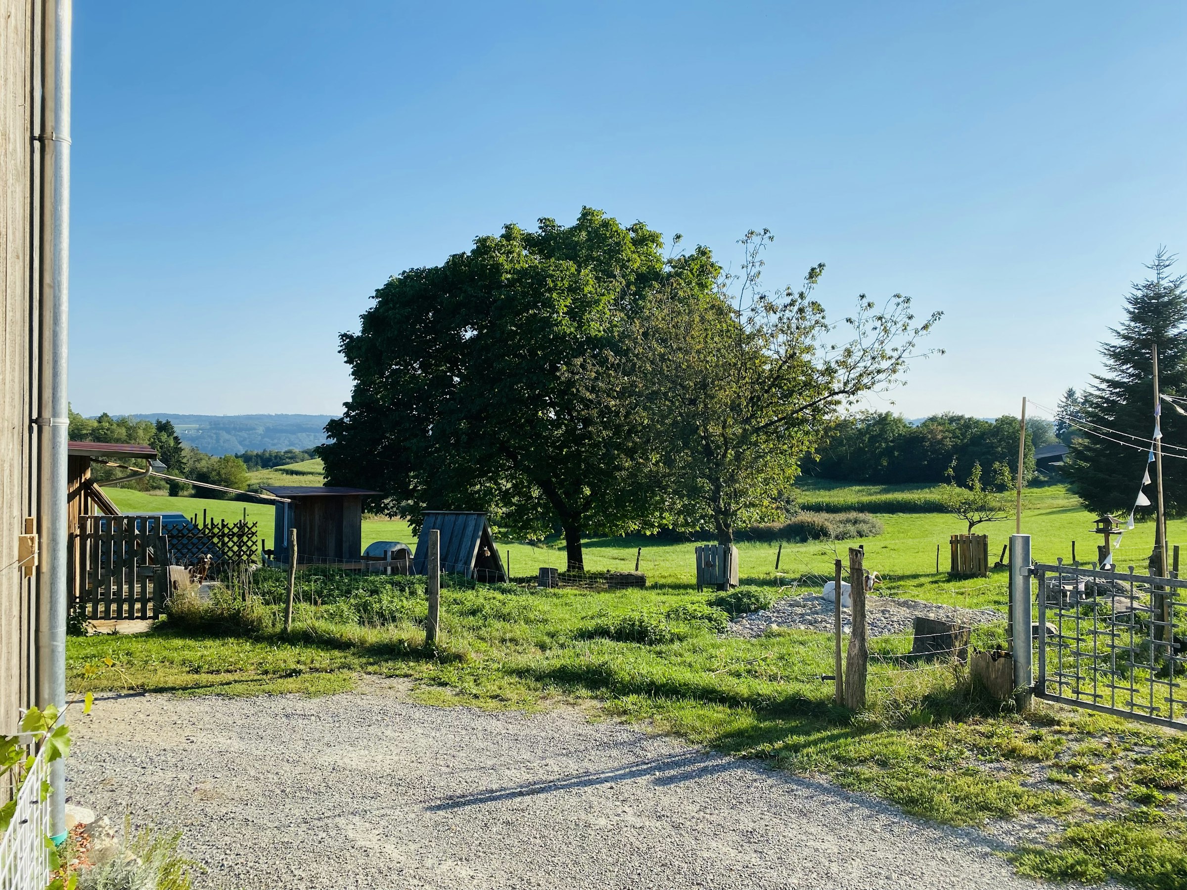 Hof-Plätzle auf der Höri