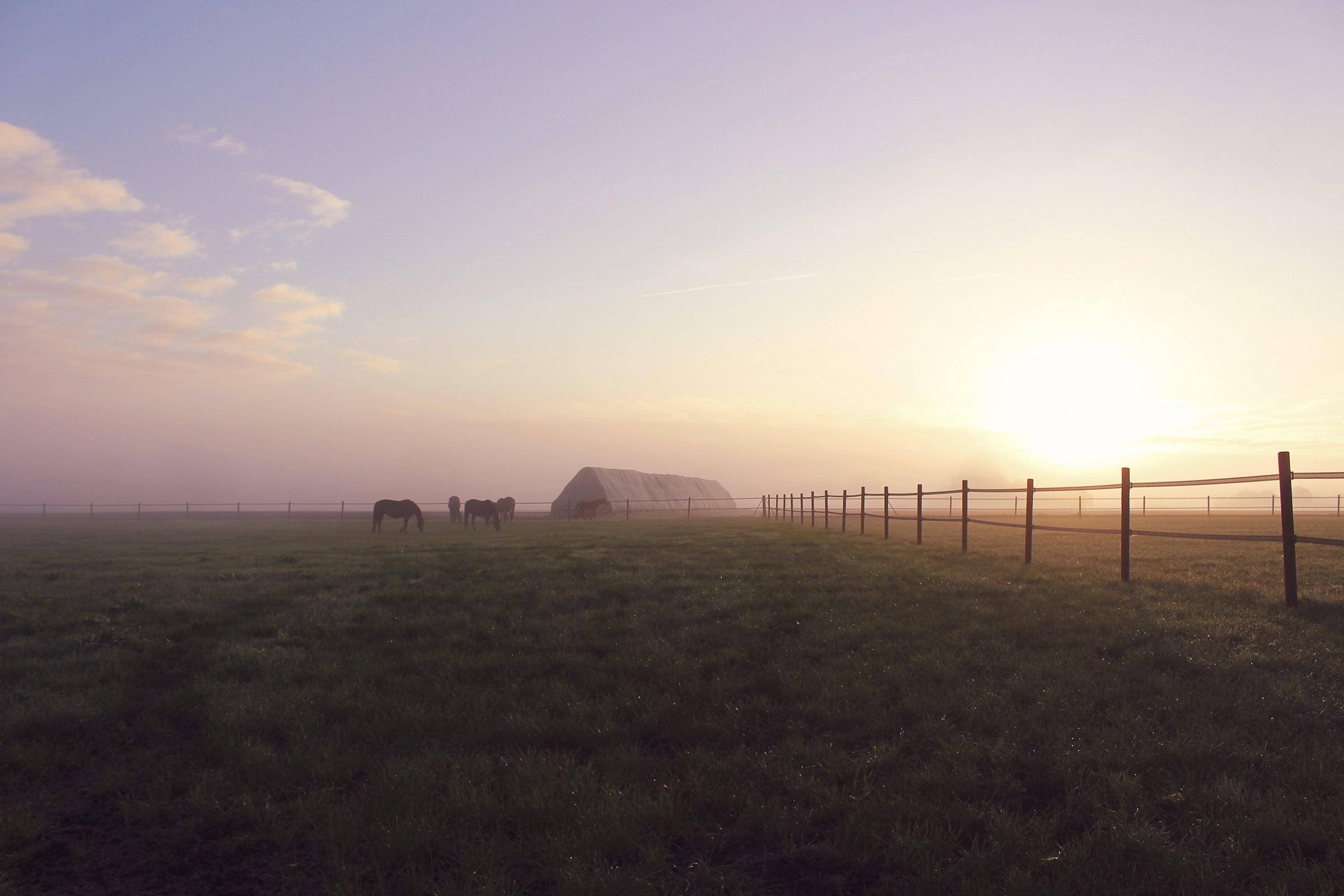 Mitten im Pferderesort – Landleben zum Anfassen