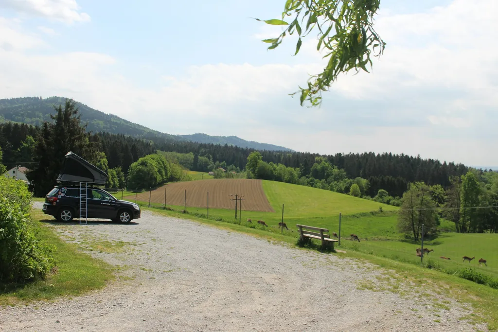 Hirschpark Camp Bayerischer Wald