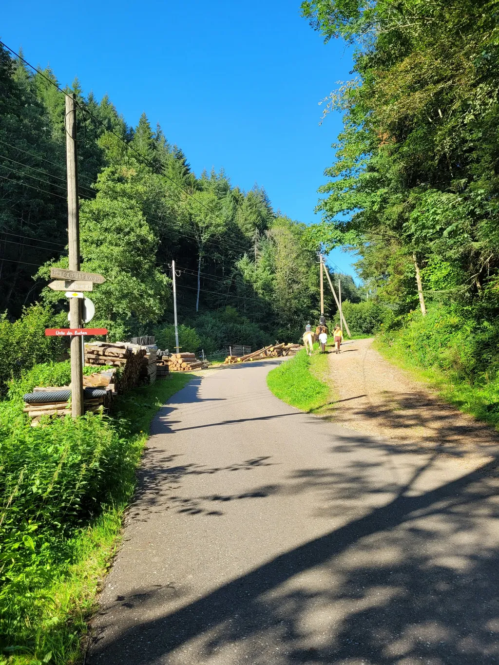 Naturcampingplatz unter den Buchen