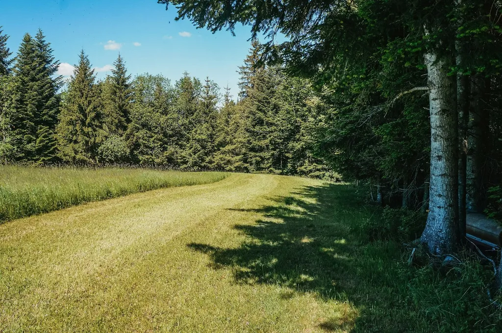 Bei den wilden Heidelbeeren