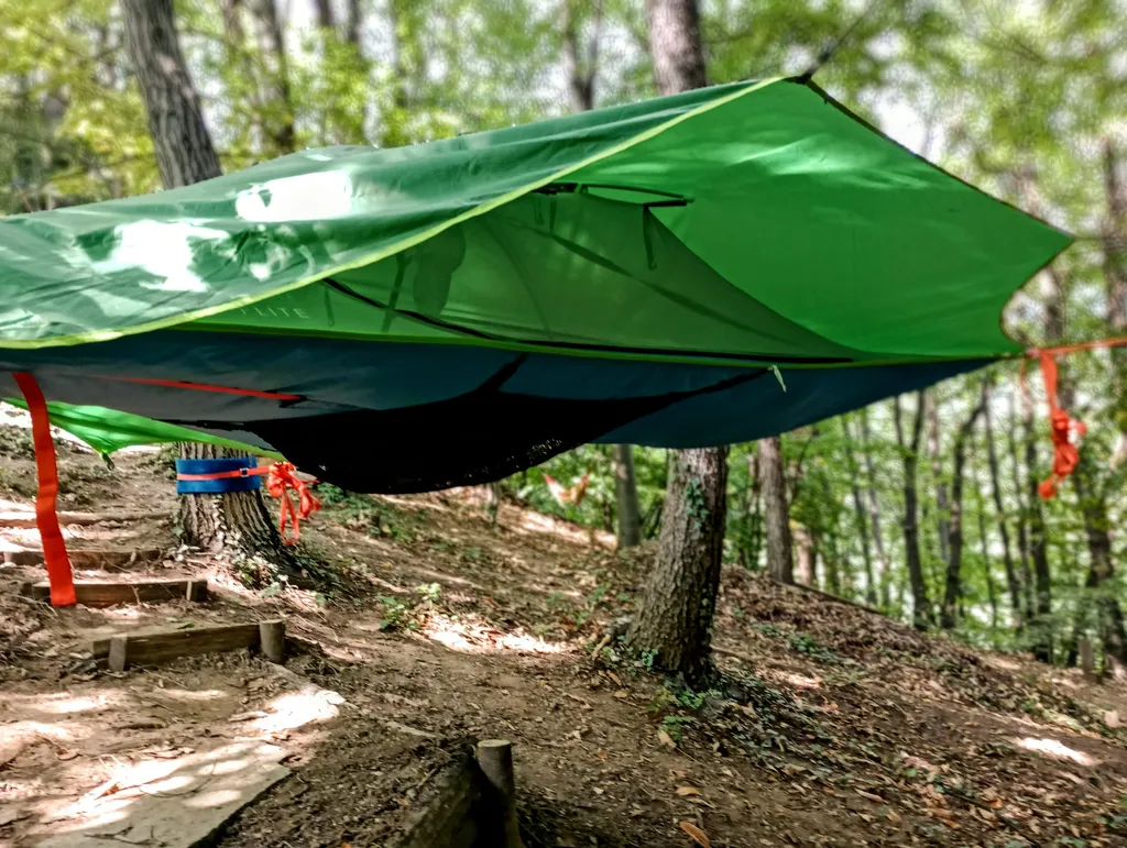 Tree tent. Avventura nel bosco
