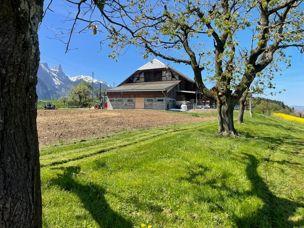 Ausblick zum Stellplatz