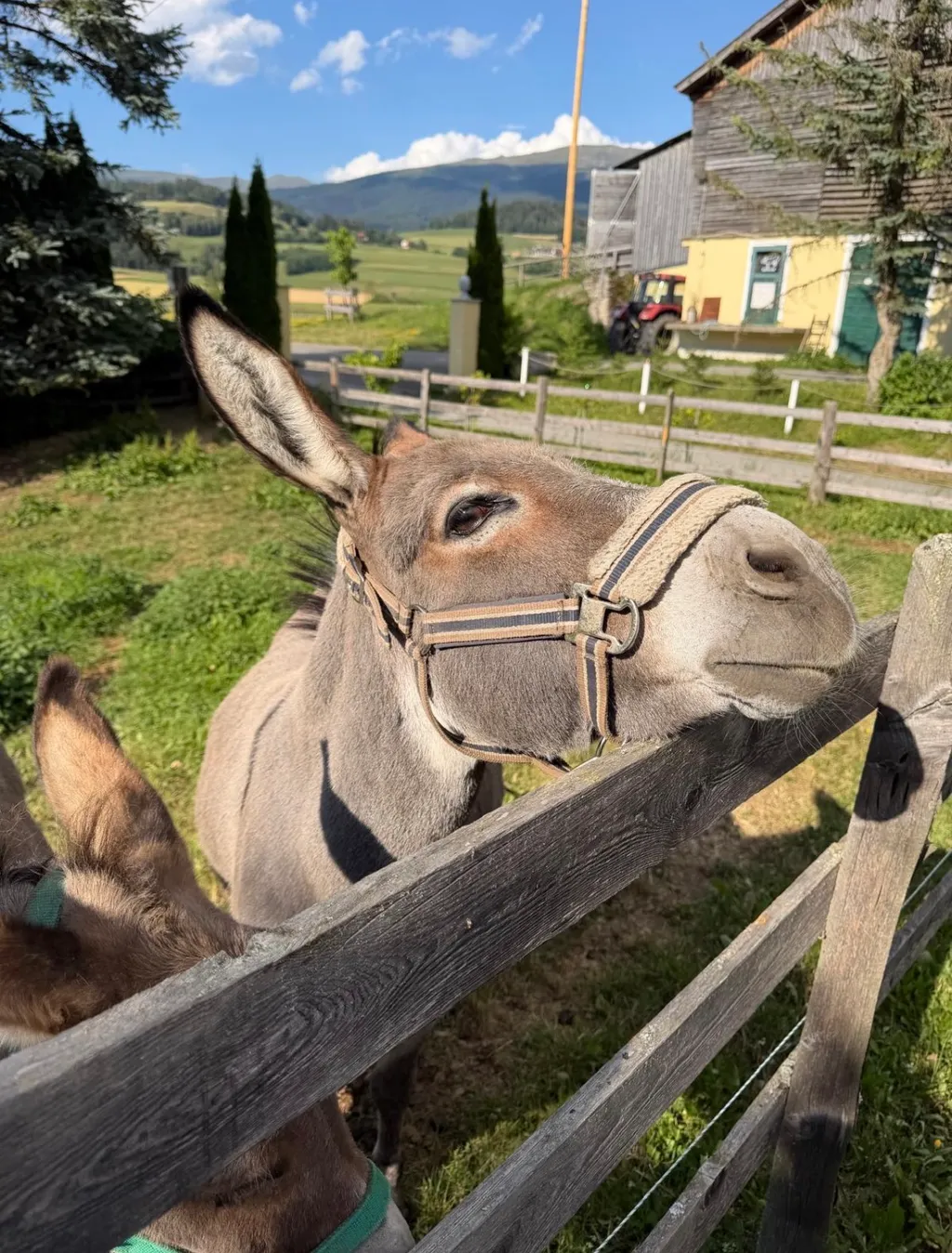 Auszeit am Bauernhof+Zirbitzblick