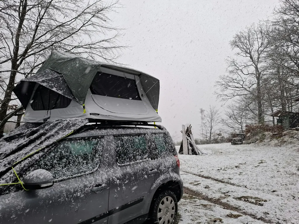 Profilbild von Manuel