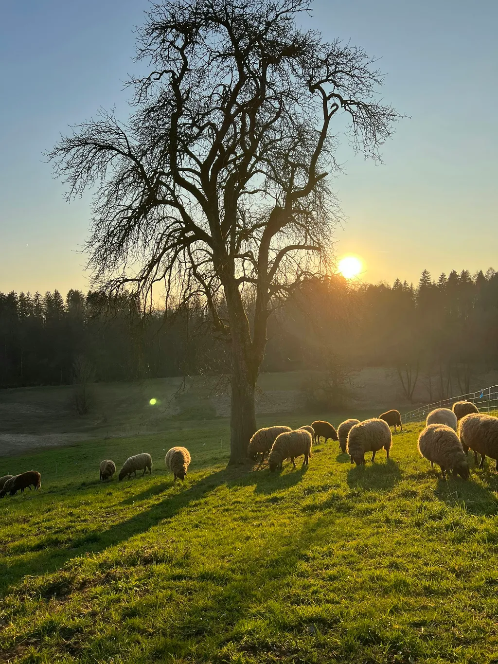 Entschleunigen und Genießen