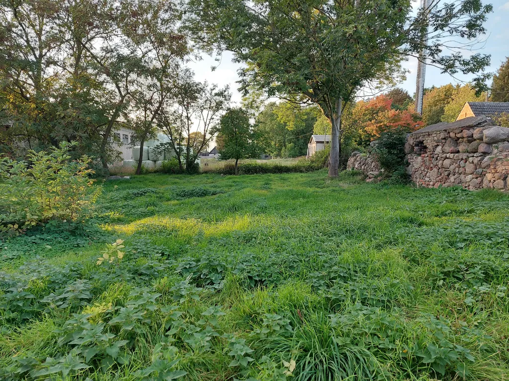 Natur pur im Tollensetal (MV)