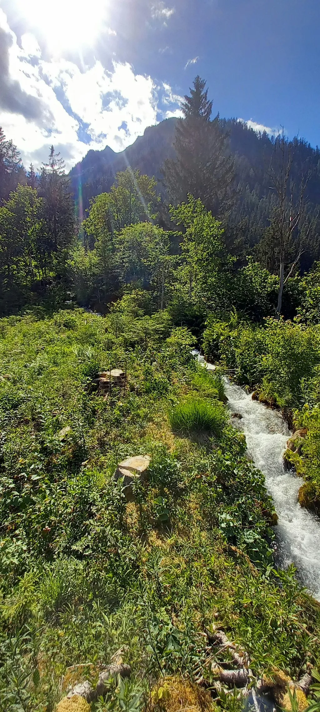 Ruhige Stellplätze in Großarl