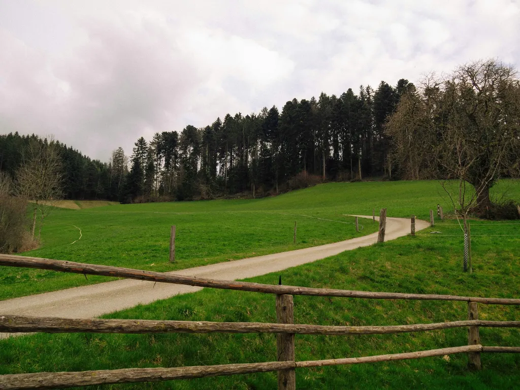 Breitenwald