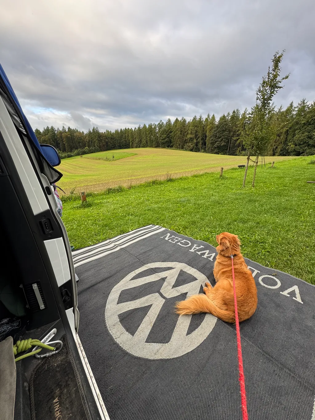 Bild von Claire für den Spot 1663