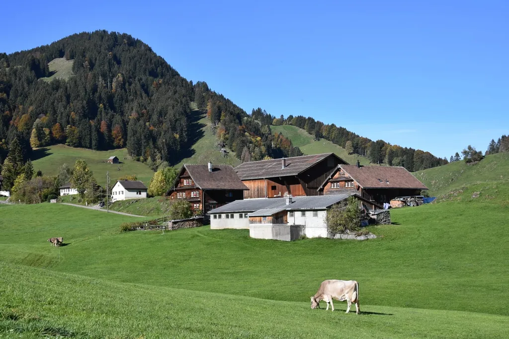 Der Sitzplatz ist ruhig gelegen und es könnten auch mal Kühe in der Nähe sein