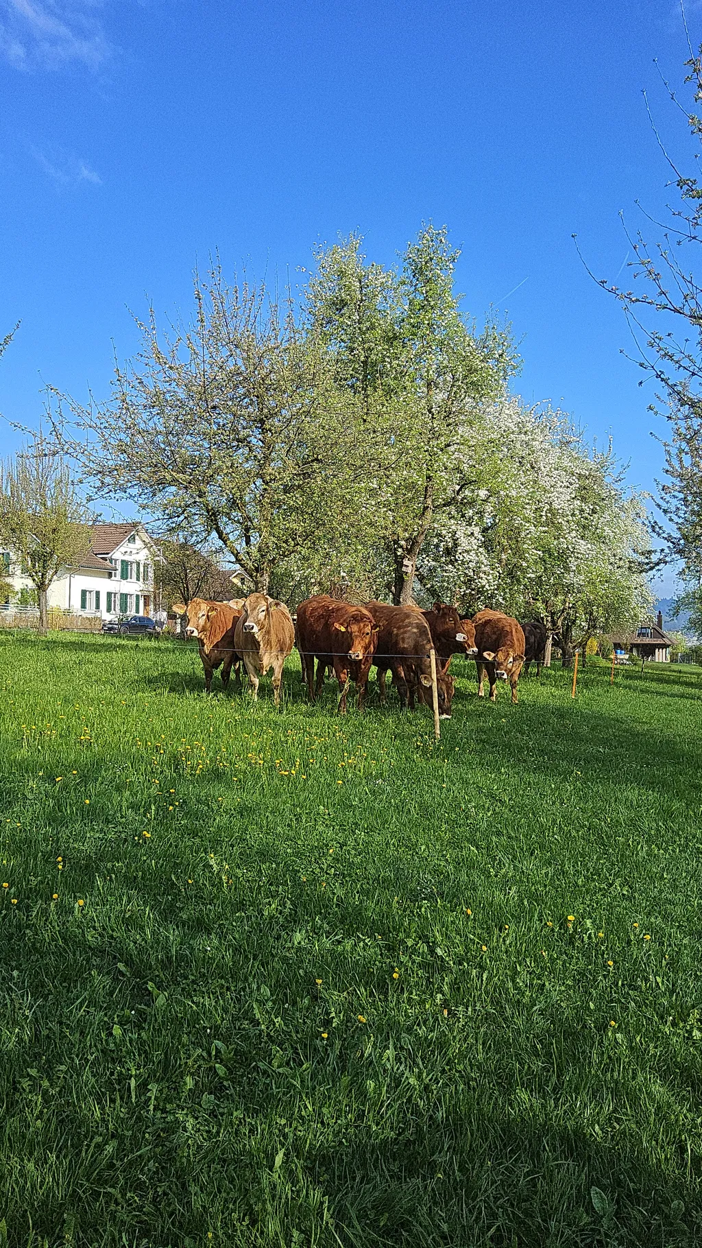 Bild von Johannes für den Spot 128