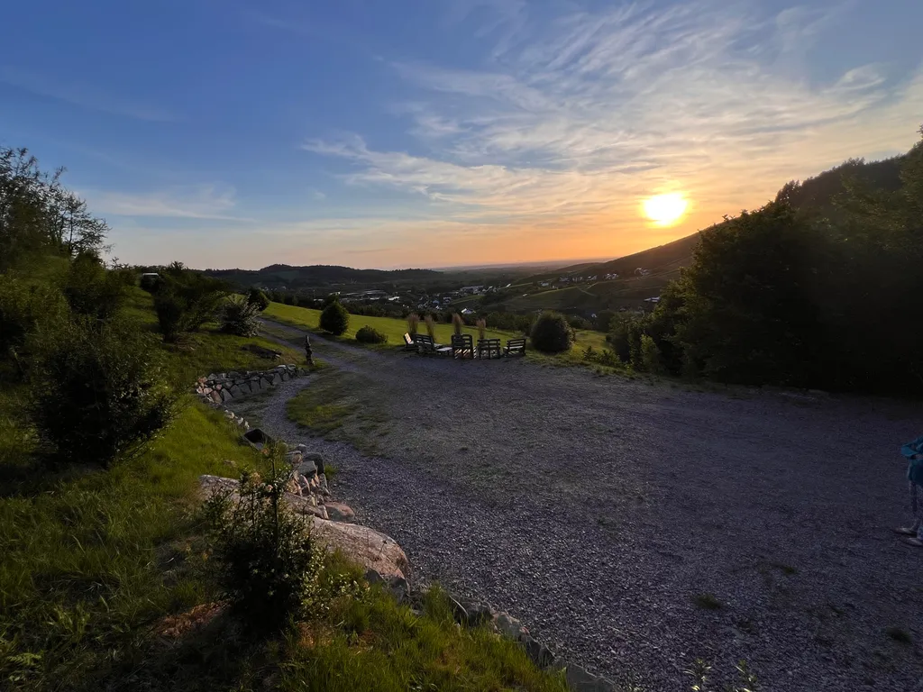 Teilweise Beschattung durch Büsche und Bäume