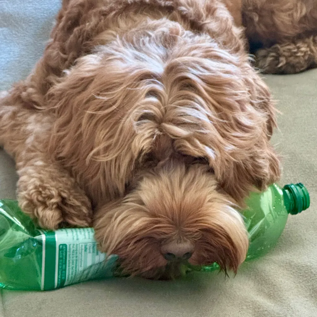 Profilbild von Laura