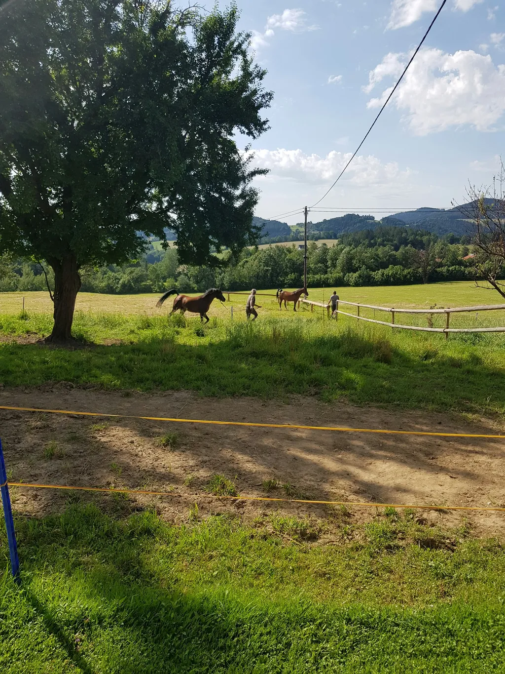 Camping Skill Horse Ranch