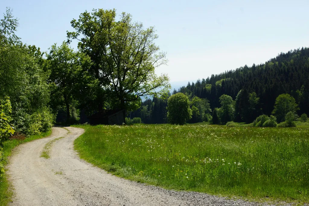 Ferienwohnungen Paukner AktivCard