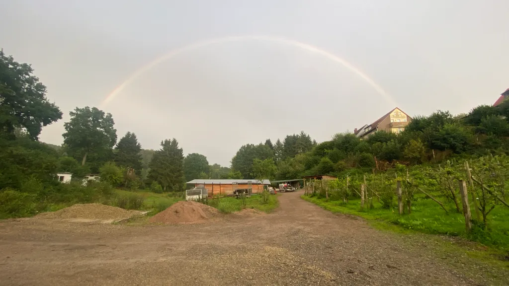 Bild von Jonathan für den Spot 1923