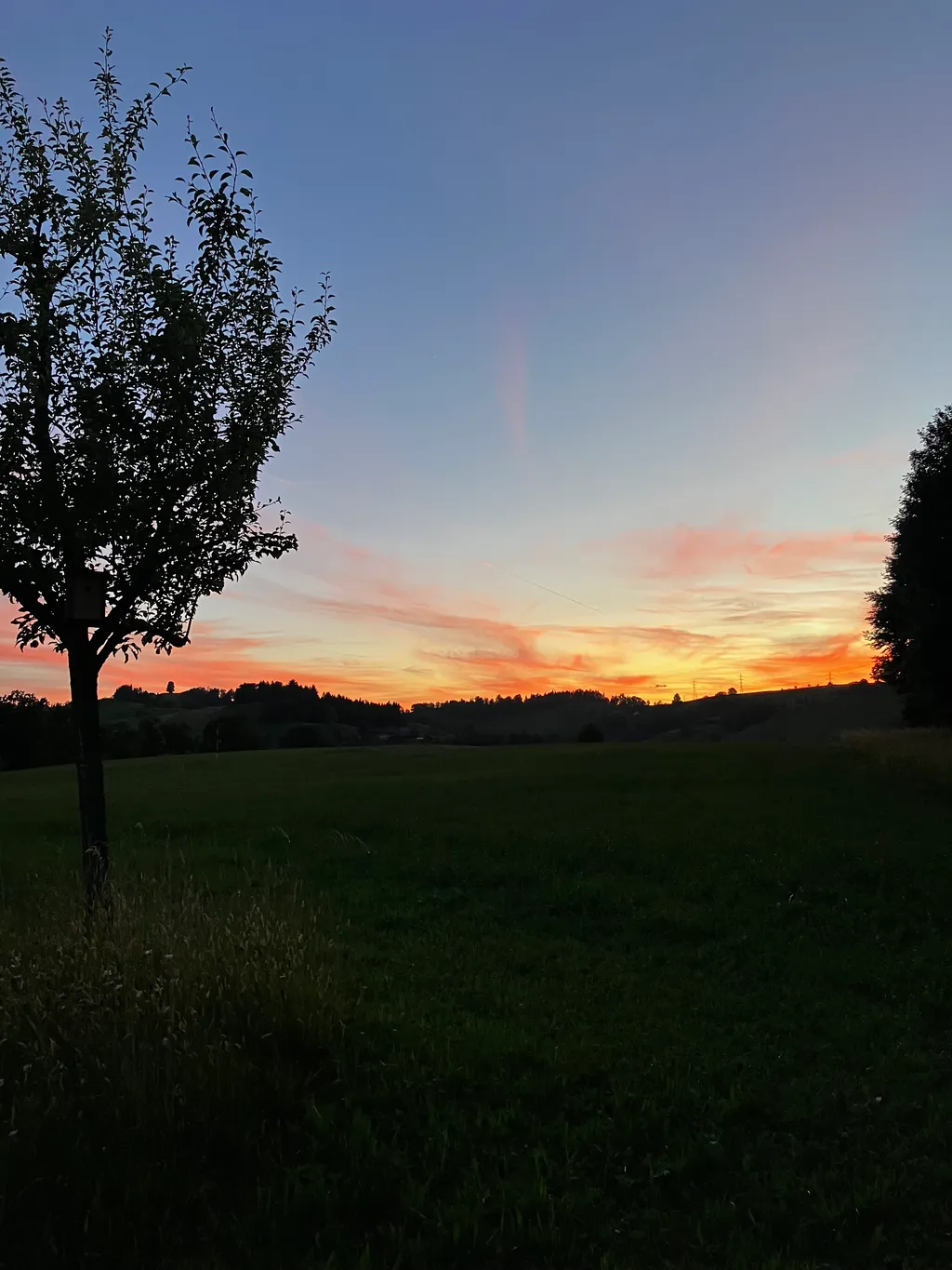 Bild von Jürg für den Spot 555