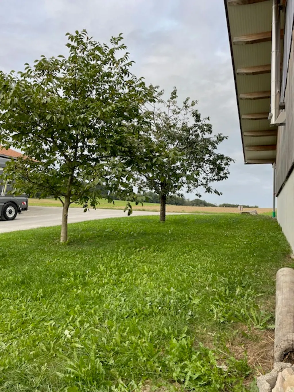 Entspannen am Steindlhof im Grünen
