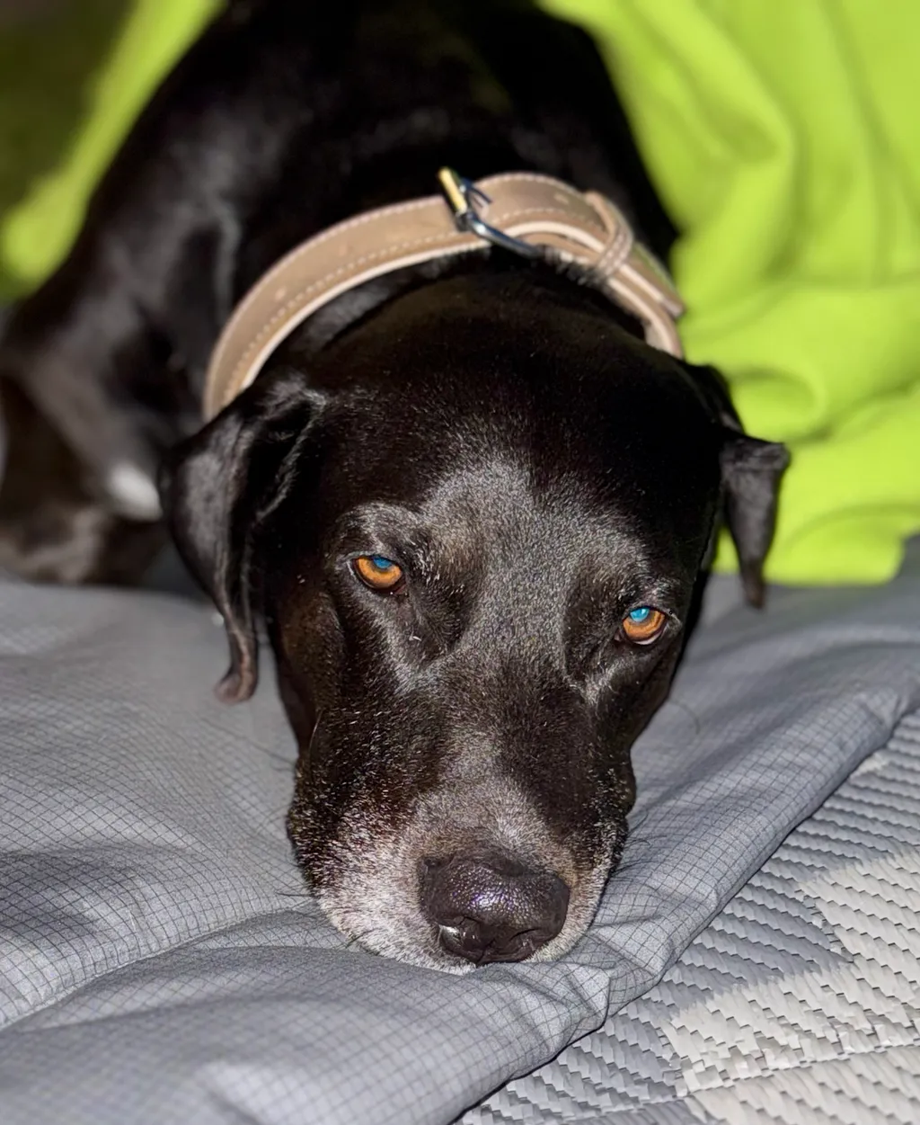 Bild von Michael für den Spot 3365