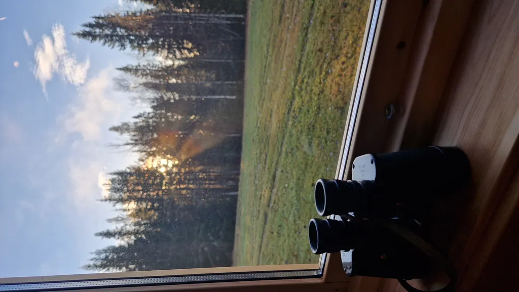 Tiny House in Schwedisch Lappland