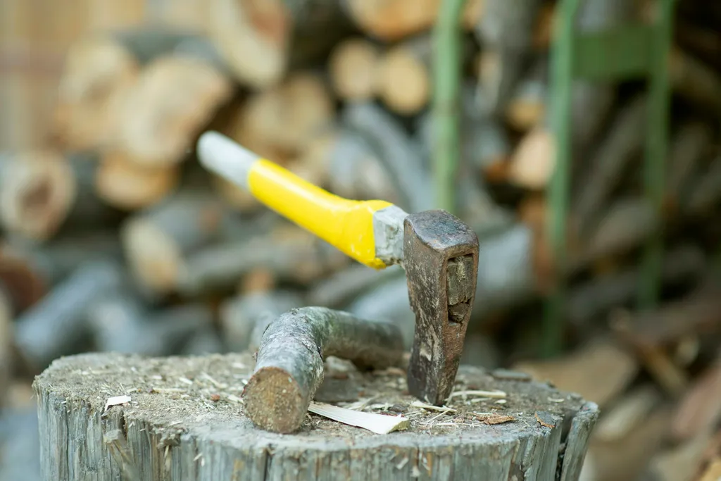 Bio Bauernhof mit Weitblick