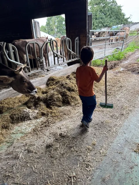 Bild von Stefan für den Spot 745