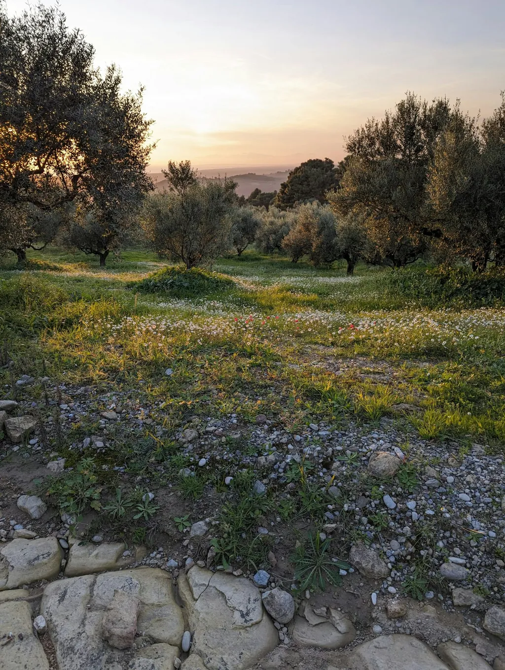 Drivala Autarkes Ferienhaus