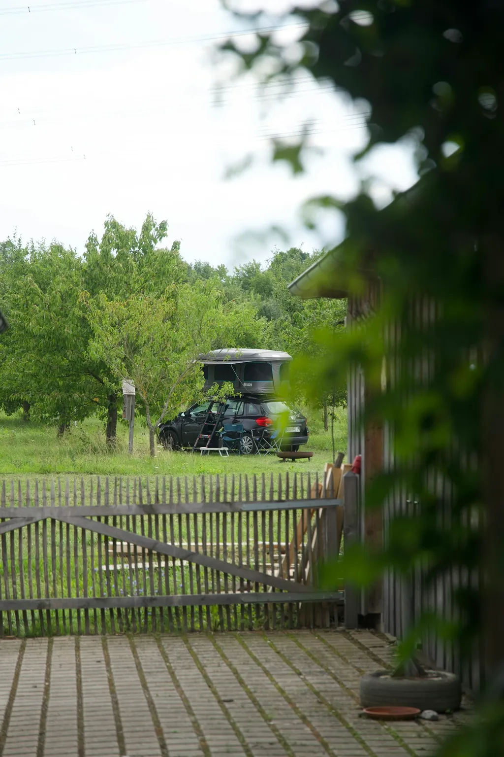 Obstgarten, Wiese Licht/Schatten