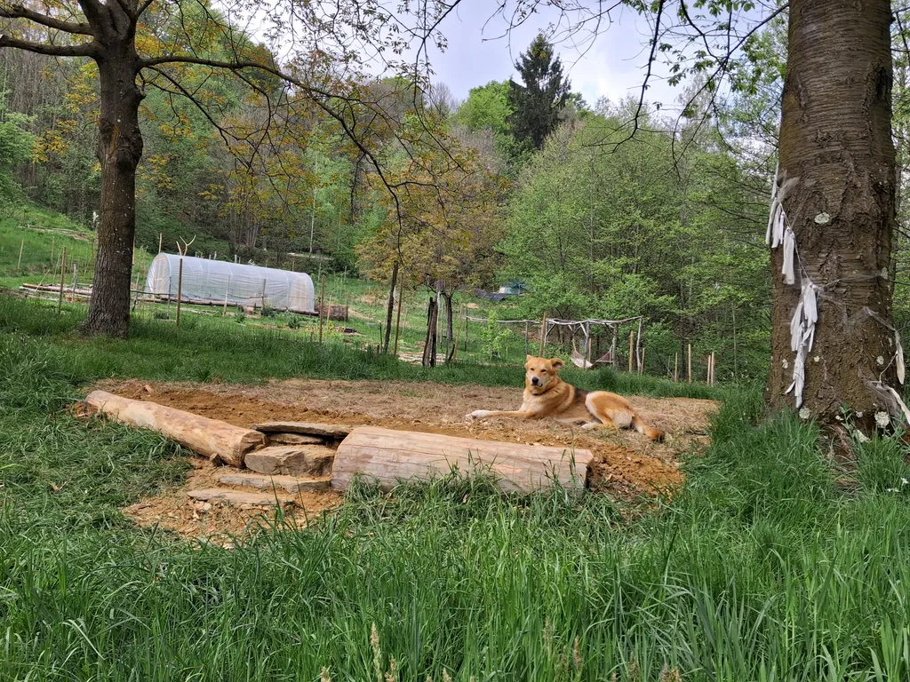 The new flat pitch friendly campspace!