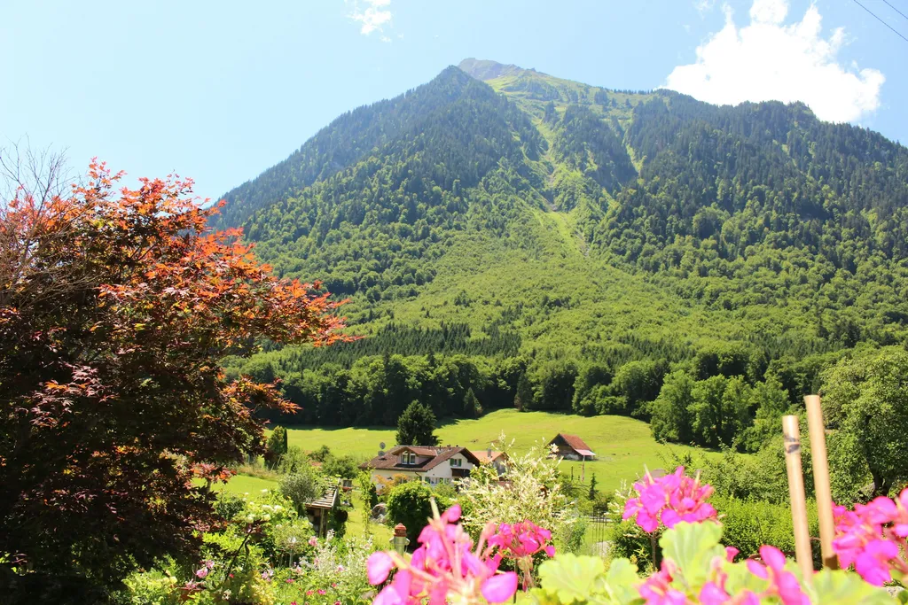 SpringCottage – unterm Walnussbaum