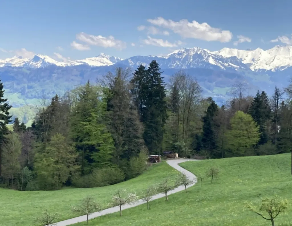 Camp Höllhof-Camper van spot Forest Edge